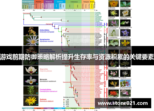 游戏前期防御策略解析提升生存率与资源积累的关键要素