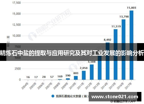 精炼石中盐的提取与应用研究及其对工业发展的影响分析 精炼石中盐的提取与应用研究及其对工业发展的影响分析
